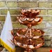 ست پذیرایی افتاب گردان چکشی نانو شده 