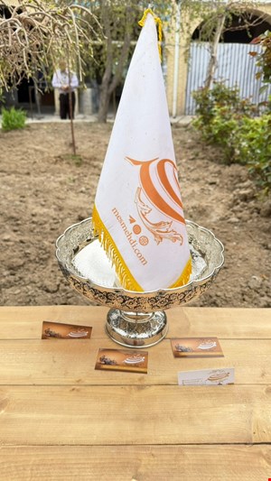 میوه خوری مسی گلبرگ کروم اسدی